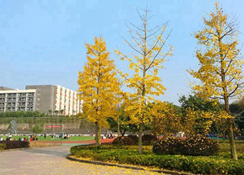 2023年糧油飼料加工技術專業成都哪個中專學校好